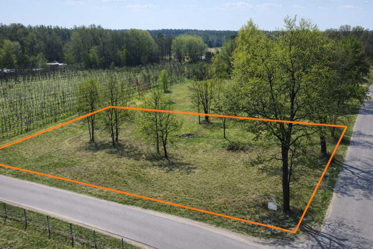 Działka budowlana Zbyszków. Zdjęcie 1