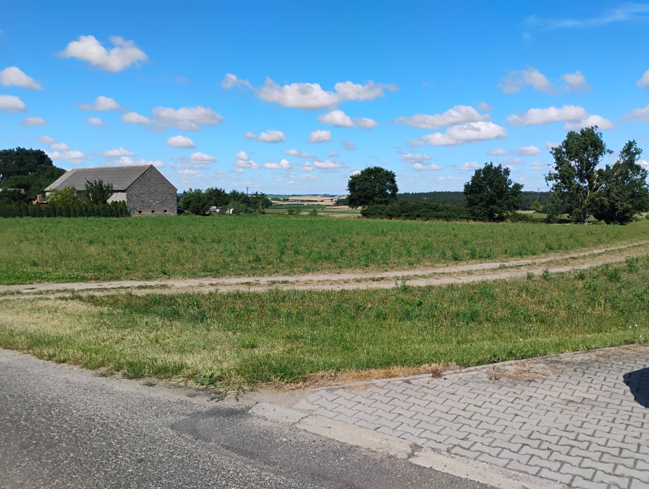 Działka budowlana Ostrowo. Zdjęcie 11
