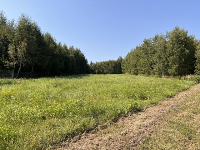 Działka budowlana Nowy Borek. Zdjęcie 7