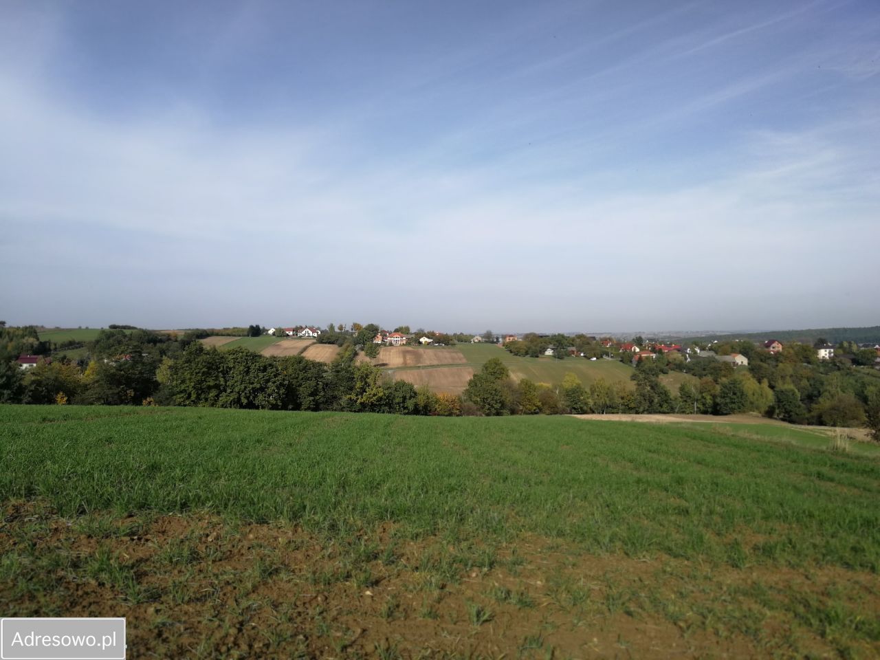 Działka budowlana Żerkowice, ul. Pod Sosną. Zdjęcie 9