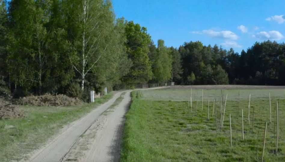 Działka rekreacyjna Rogóźno. Zdjęcie 5