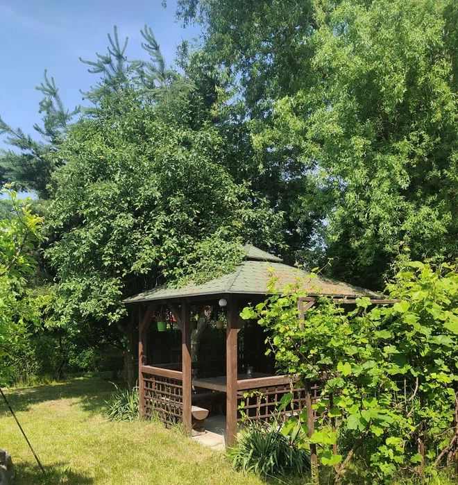 Działka rod Gliwice Trynek, ul. Liliowa. Zdjęcie 4