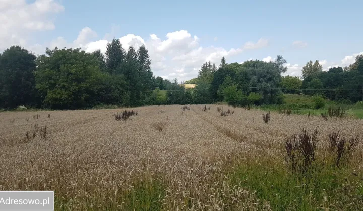 Działka budowlana Rzeplin