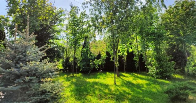 dom wolnostojący, 5 pokoi Warszawa Wawer. Zdjęcie 6