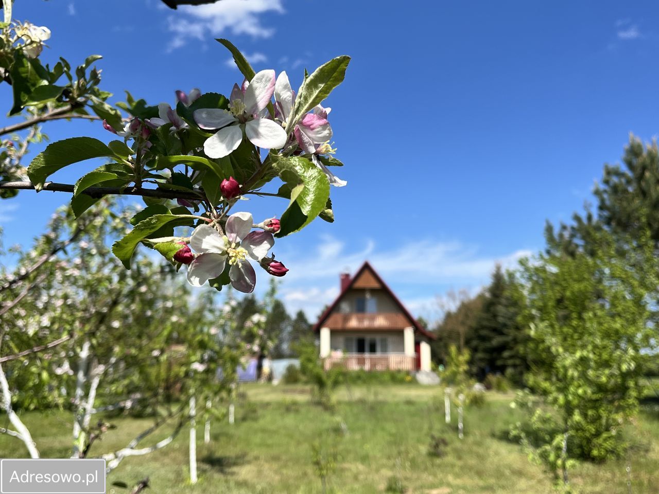 dom wolnostojący, 3 pokoje Zynie. Zdjęcie 11