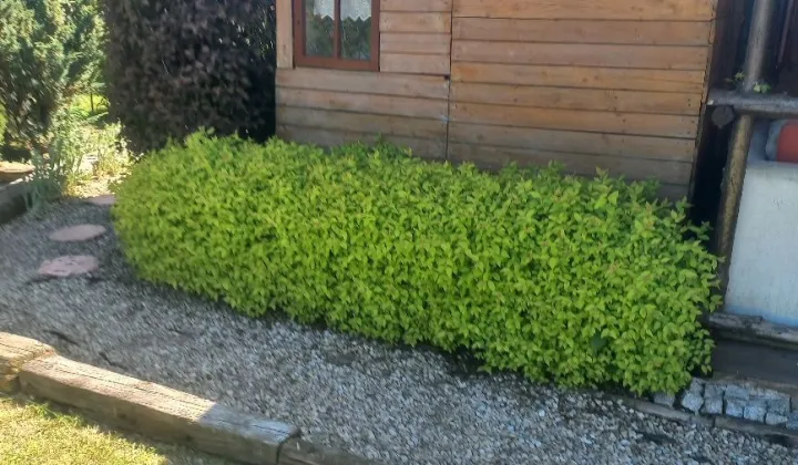 Działka rod Proszowice