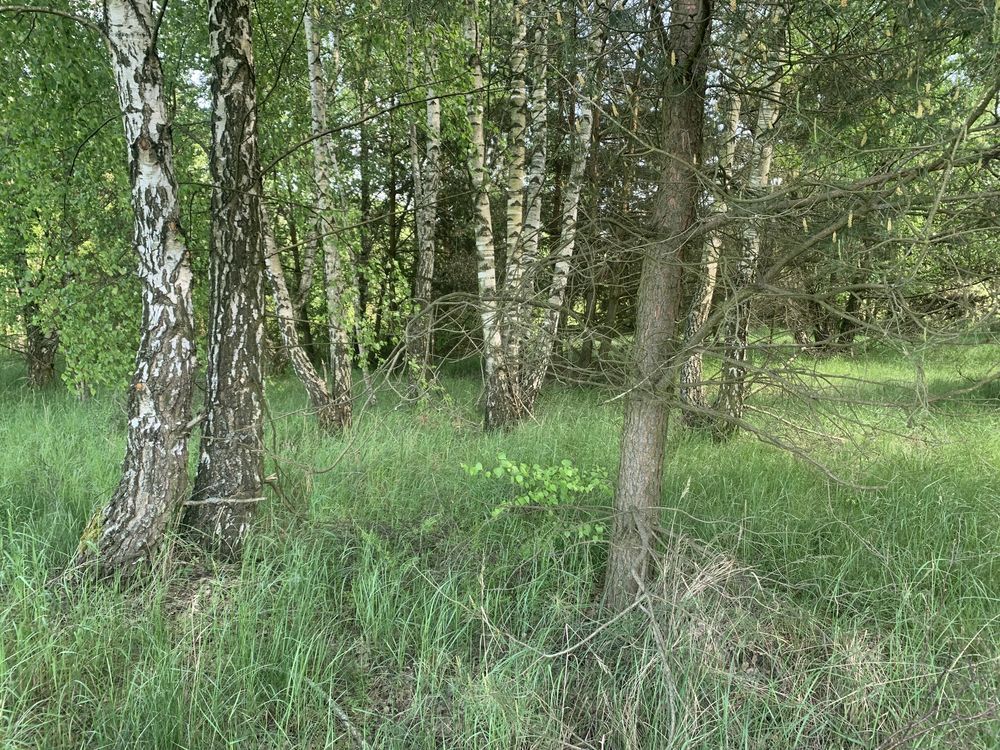 Działka budowlana Falęcice. Zdjęcie 5