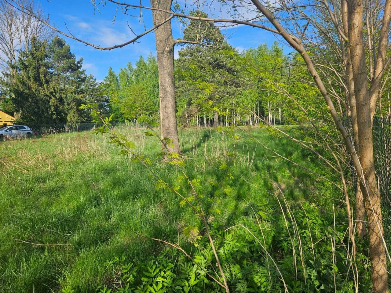 Działka rekreacyjna Lejno. Zdjęcie 4