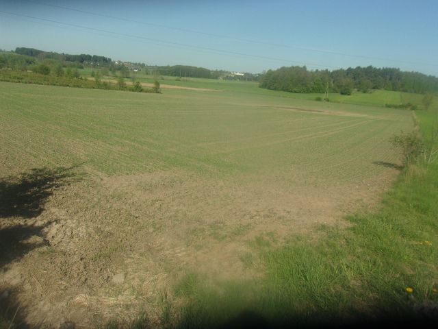 Działka rolna Dobrzyniewo Kościelne. Zdjęcie 1