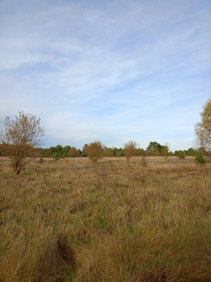 Działka rolno-budowlana Jabłonka