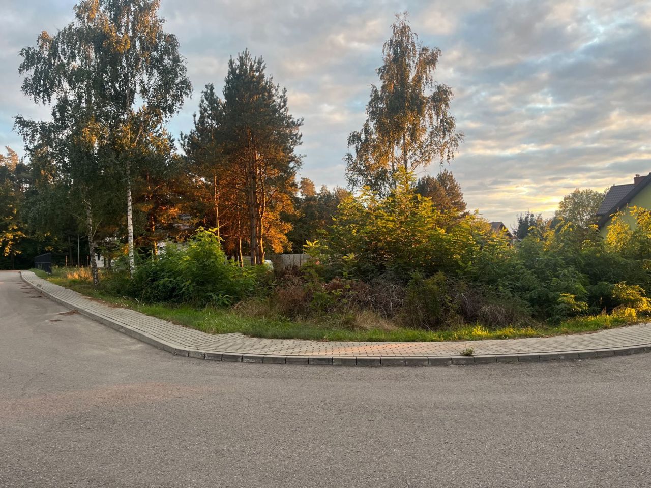 Działka budowlana Domaniewice, ul. Brzozowa. Zdjęcie 2