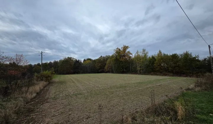 Działka budowlana Pachnowola