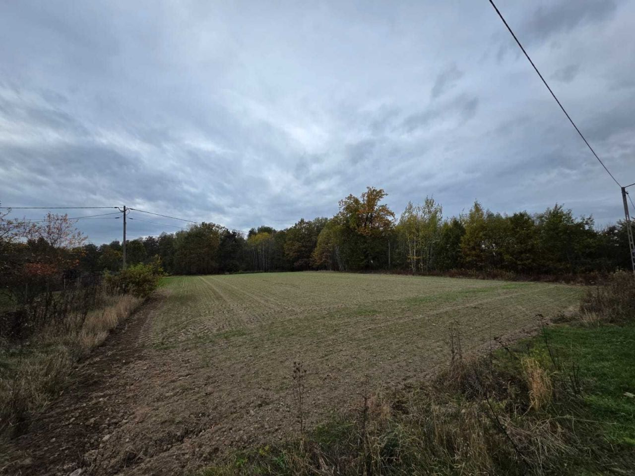 Działka budowlana Pachnowola