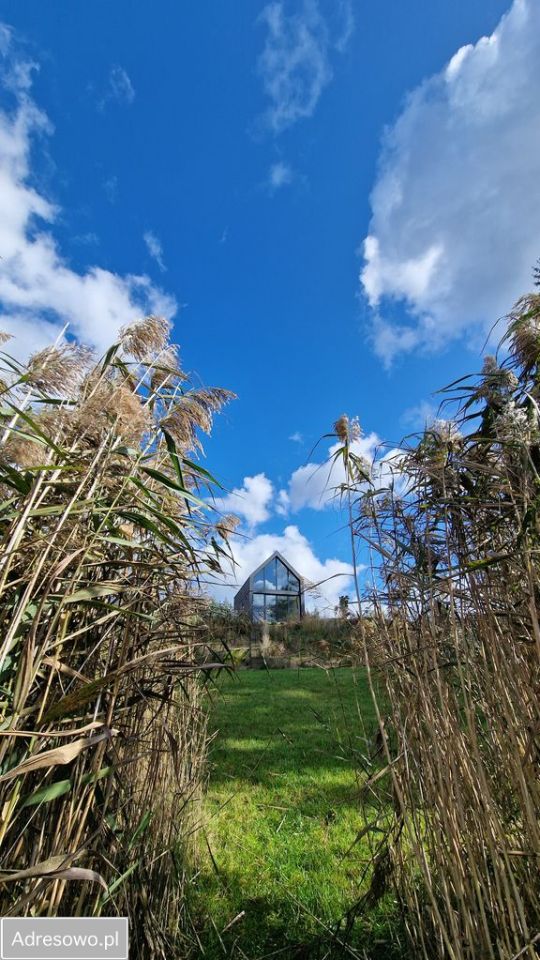 Działka rolno-budowlana Psie Głowy. Zdjęcie 18