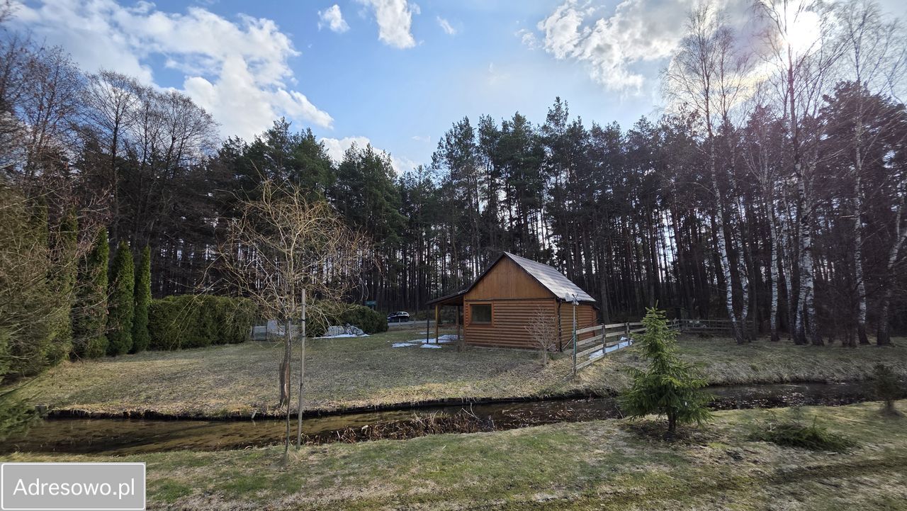 Działka leśna Wólka Łosiniecka. Zdjęcie 13