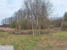 Działka rod Rypin, ul. Spokojna. Zdjęcie 2