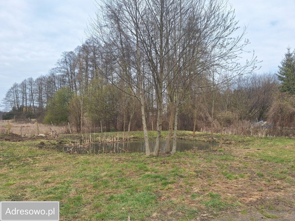 Działka rekreacyjna Rypin, ul. Spokojna. Zdjęcie 3