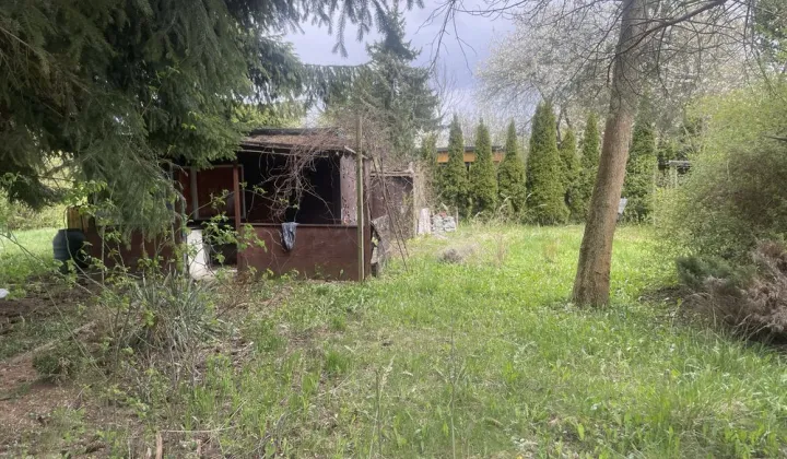 Działka rod Łódź Śródmieście