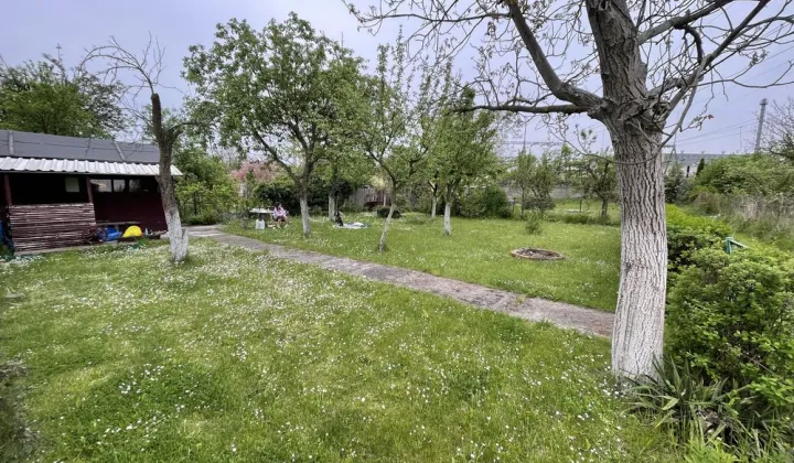 Działka rod Wrocław Śródmieście