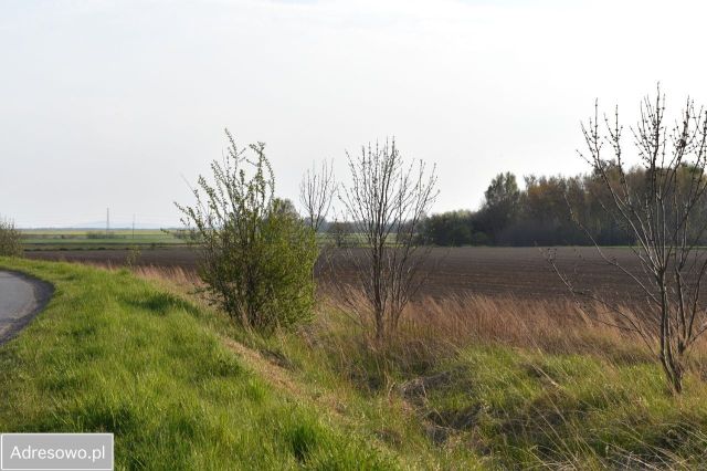 Działka rolna Godzikowice. Zdjęcie 1