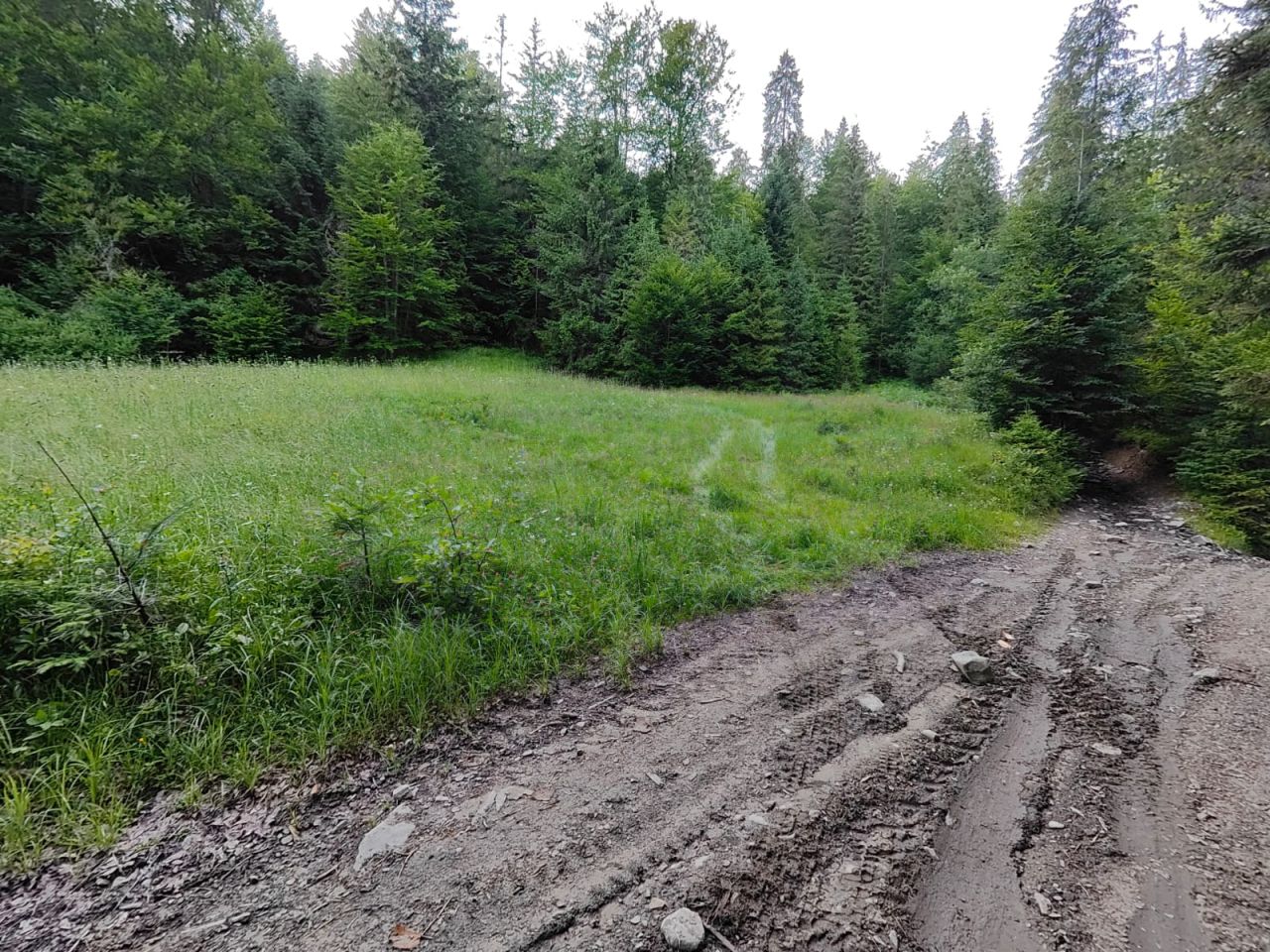 Działka rolna Ochotnica Górna Forendówki, os. Forendówki. Zdjęcie 2