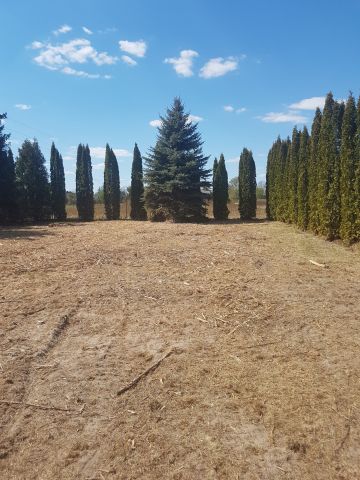 Działka budowlana Natolin. Zdjęcie 1