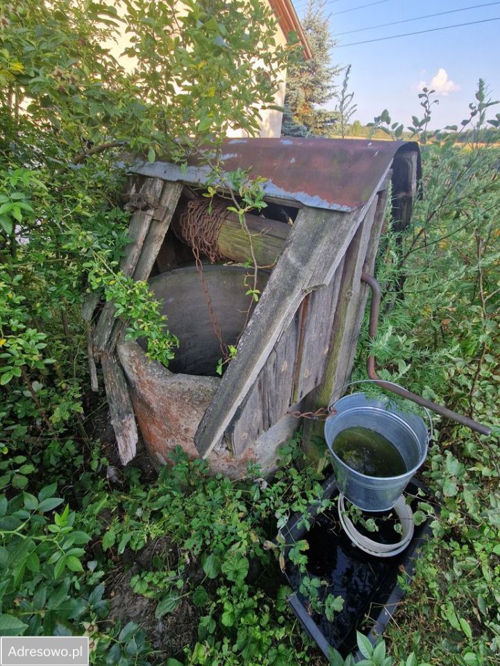 Działka siedliskowa Nowinki. Zdjęcie 8