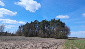 Działka leśna Grodziec