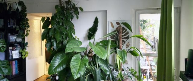 Mieszkanie 4-pokojowe Warszawa Ochota, ul. Daleka. Zdjęcie 4