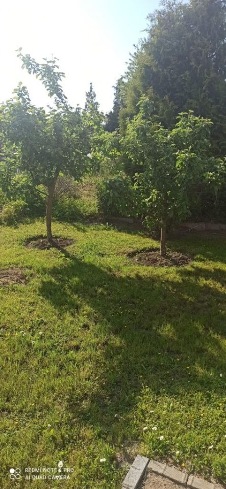 Działka rod Zimowiska. Zdjęcie 1