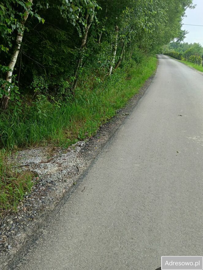 Działka leśna Lubaszowa. Zdjęcie 3