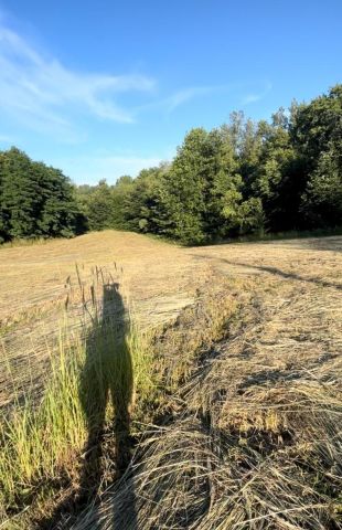 Działka budowlana Chronów Chronów Dolny. Zdjęcie 1