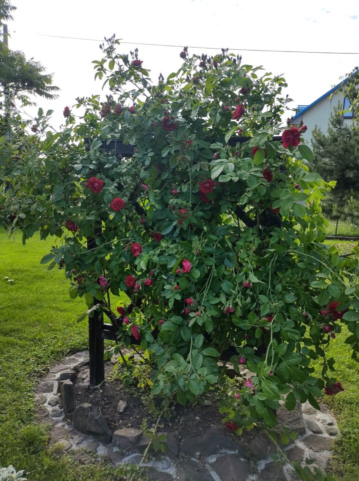 dom wolnostojący, 6 pokoi Mniów Raszówka, ul. Raszówka. Zdjęcie 15