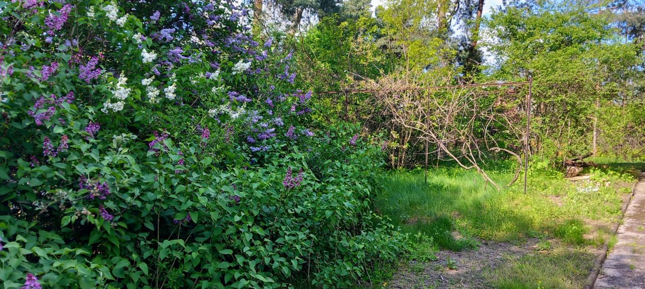 dom wolnostojący, 5 pokoi Otwock Świder, ul. Pogodna. Zdjęcie 22