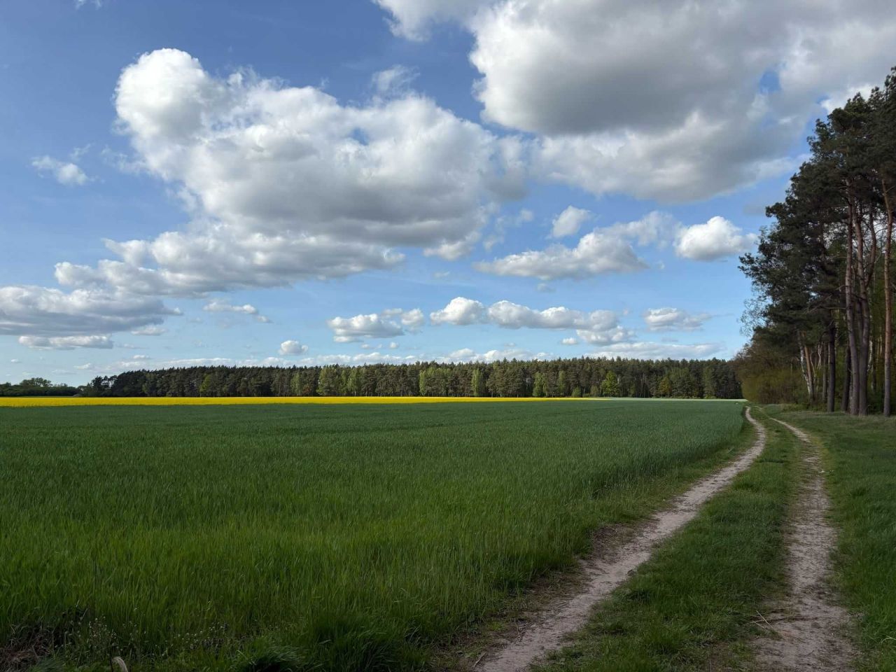 Działka budowlana Jabłkowo. Zdjęcie 3