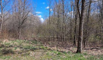 Działka rolno-budowlana Przyłogi Znajoma