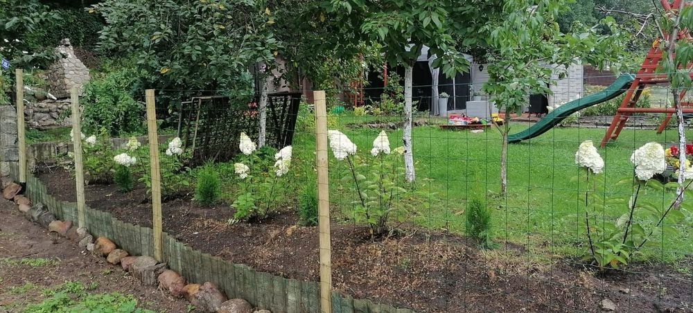 Działka rod Wędrzyn. Zdjęcie 6