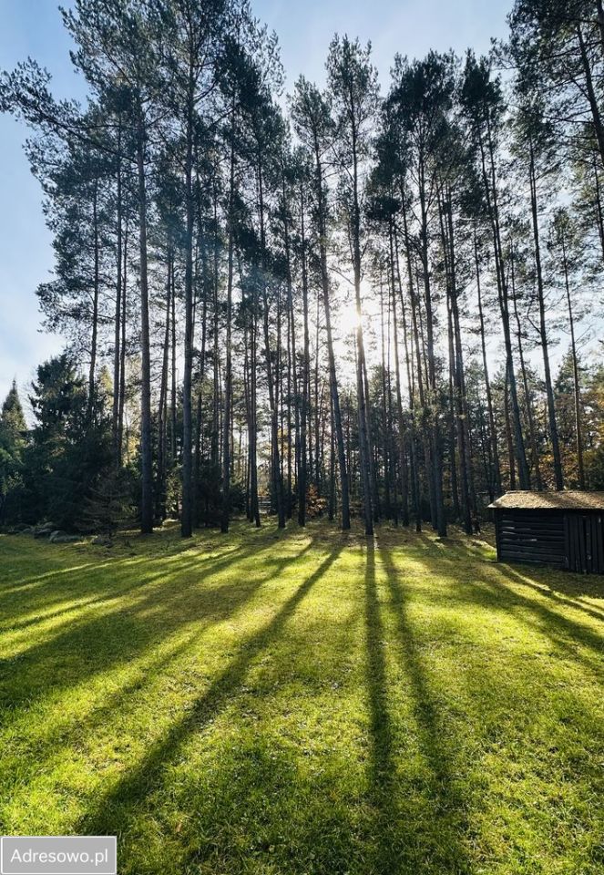 Działka rekreacyjna Ldzań. Zdjęcie 14