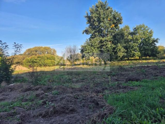 Działka budowlana Okuniew. Zdjęcie 2