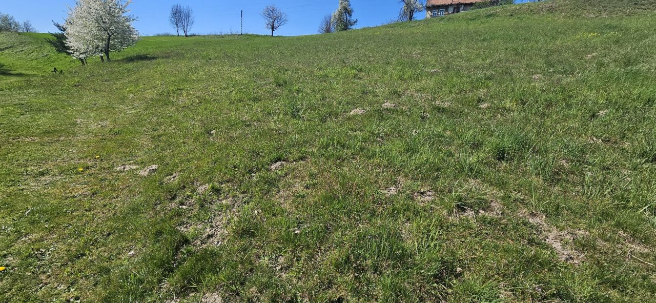 Działka rolna Winiary. Zdjęcie 6