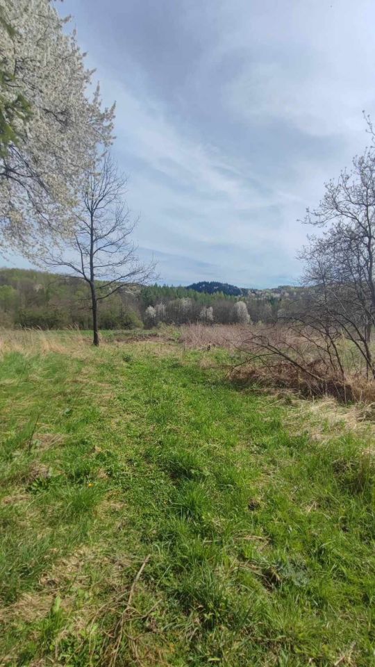 Działka rolno-budowlana Lubenia. Zdjęcie 6