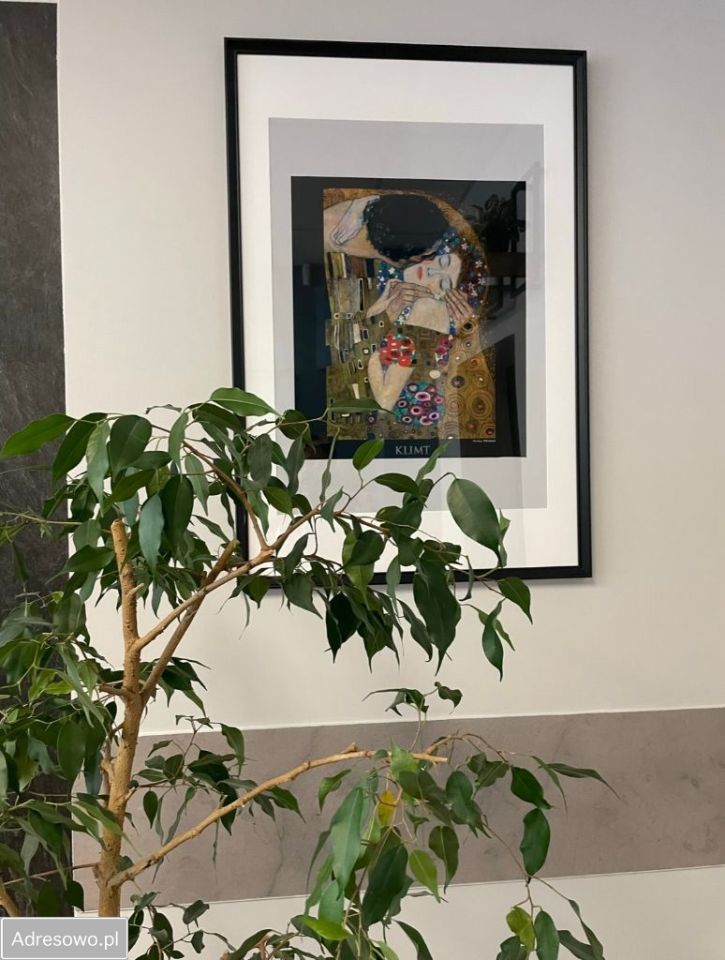 Lokal Kraków Krowodrza, ul. Kazimierza Wielkiego. Zdjęcie 19