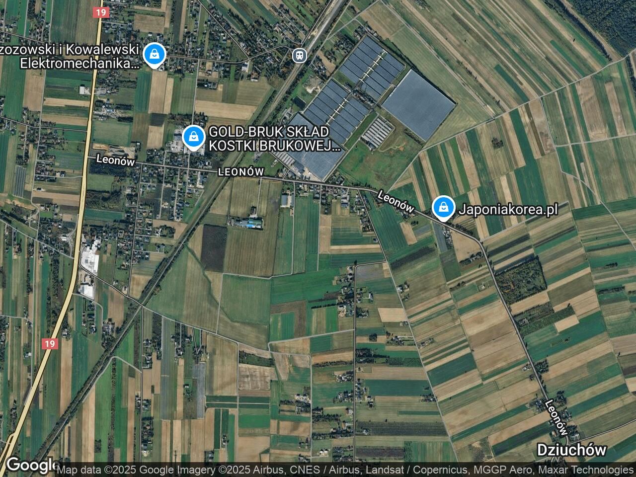 Działka budowlana Niemce, ul. Orzechowa