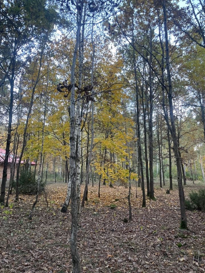 Działka budowlana Czartajew, ul. Spacerowa. Zdjęcie 3