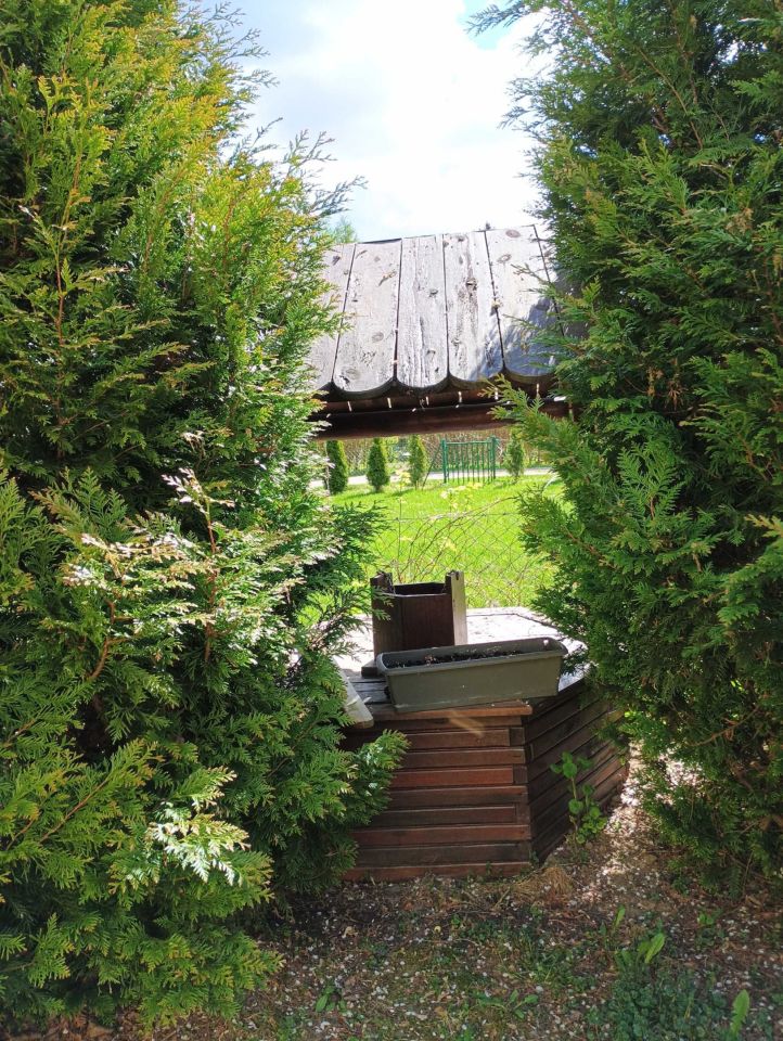 Działka rod Toruń. Zdjęcie 6