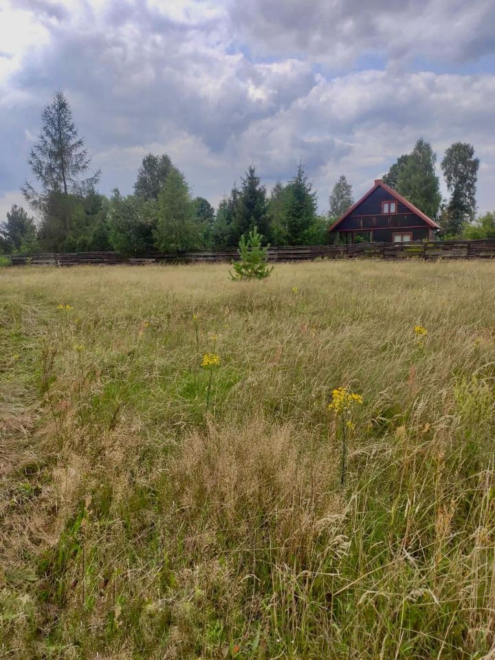 Działka rekreacyjna Mącice. Zdjęcie 4