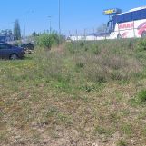 Działka budowlana Białystok Bacieczki, ul. Narodowych Sił Zbrojnych. Zdjęcie 3