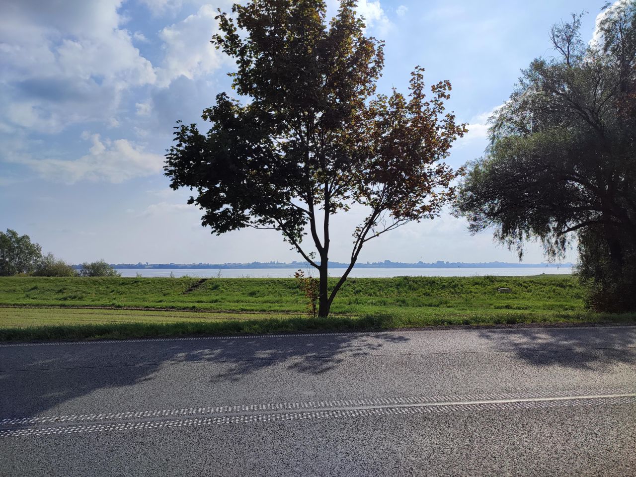 Działka rolna Jeziorsko. Zdjęcie 8