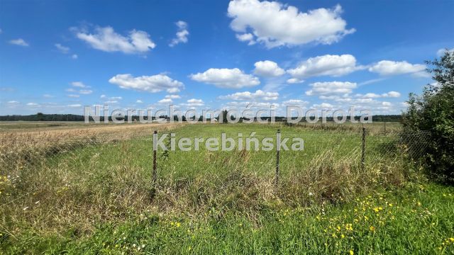 Działka budowlana Studzianki. Zdjęcie 8