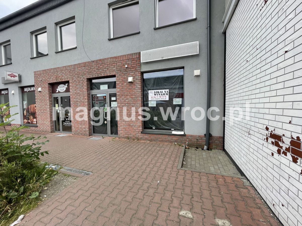 Lokal Lewin Brzeski, ul. Kościuszki